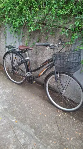 Sepeda wimcycle starlite 26 almunium
