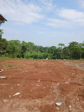 TANAH MURAH KOTA SEMARANG