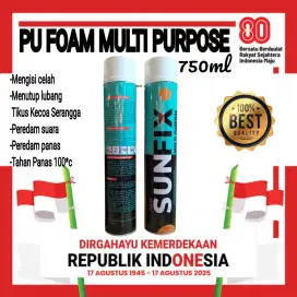 Pu Foam Multi Puporse 750ml