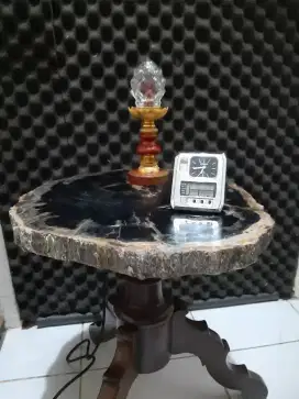 Meja Batu Fosil