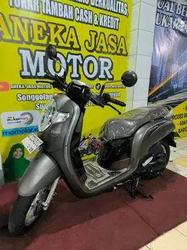 Scoopy 2018 Mate brown AJM