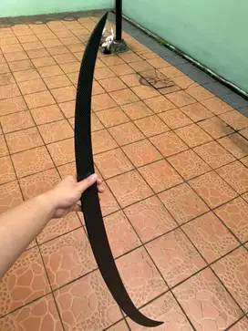 Ducktail Carbon BMW F10