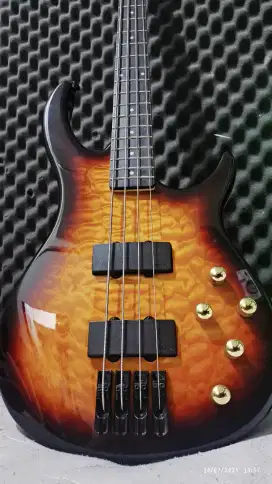 Bass peave mulus no minus