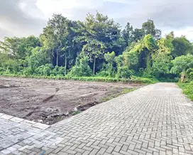 Dijual Tanah Jogja Murah Dekat SD-SMP Islam Al-Azhar, SHM