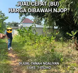 DIJUAL TANAH NGALIYAN, SEMARANG, ZONA KUNING