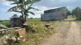 Dijual Tanah SHM Tegalan Zona Kuning Cocok Untuk Hunian/Kost exclusiv