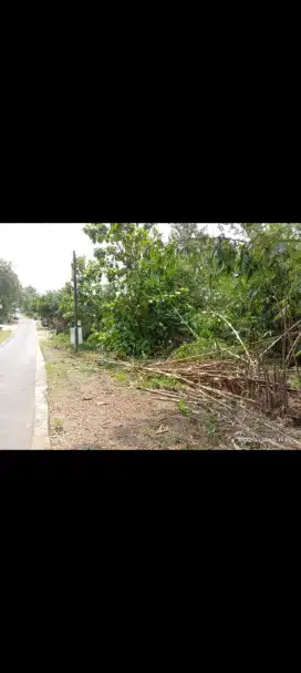 Jual tanah pinggir jln raya Utara Plesungan luas 1345mtr hrg 1,5jt/mtr