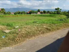 Tanah pinggir pantai penimbangan singaraja 8are