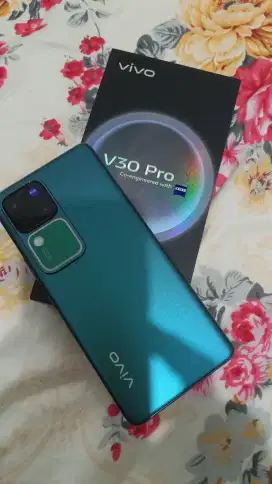 Vivo V30 Pro istimewa