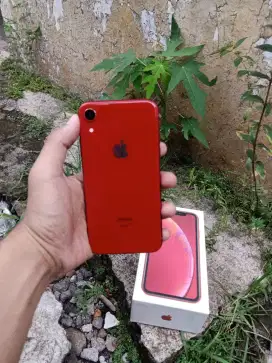 iPhone XR 128gb
