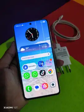 Samsung s21 fe 5g 8/256 hp dan cas minus baca deskripsi