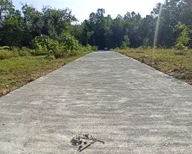 Tanah Dekat Samsat Kulon Progo Terbaru