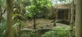 Di jual tanah jalan Batuyang, Batubulan, Bali