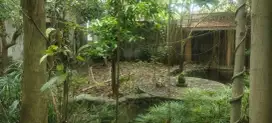 Di jual tanah jalan Batuyang, Batubulan, Bali