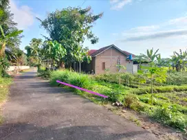 Dijual Sawah SHM di Tirtoadi Mlati Sleman