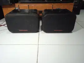 Speker audio image