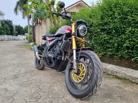 Kawasaki Ninja Z 250 Custom