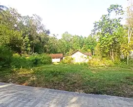Tanah Jl. Gotakan Kulon Progo Dekat UNY Wates
