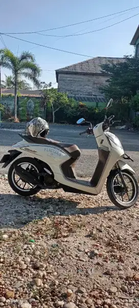 Honda Genio 2021