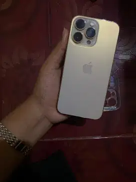iphone 13 pro ibox (gold)