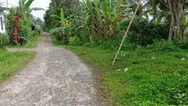 Jual tanah kebun murah di tabanan bali