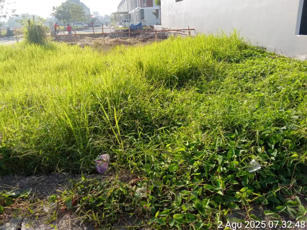 potong rumput taman dan lahan kosong