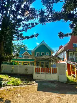 Sewa villa kolam renang kota bunga puncak bogor