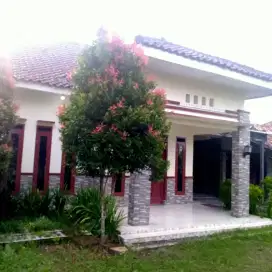 UDAH CANTI MURAH LAGI