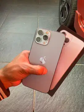 Iphone 13 promax