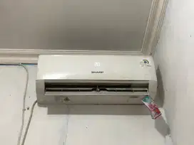 Ac Sharp 1/2 pk