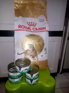 Makanan kucing royal canin
