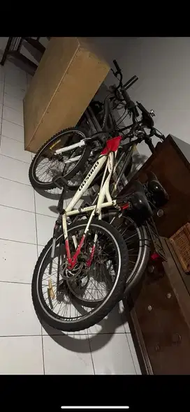 Sepeda biasa bekas