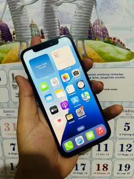 Iphone 12 64 Biru