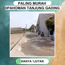 TANAH KEDAMAIAN DEKAT DENGAN FALITAS PENDIDIKAN DAN UNIVERSITAS