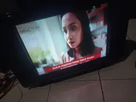 Tv Polytron 21 in