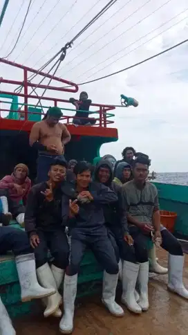 Butuh yang serius kerja buat abk kapal cumi yang siap berangkat