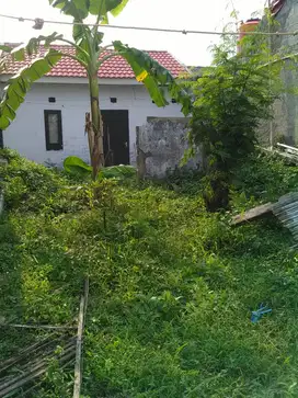 Tanah dijual murah, luas 60m