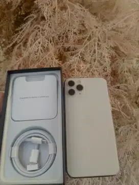 Iphone 11 pro 512gb konci baru