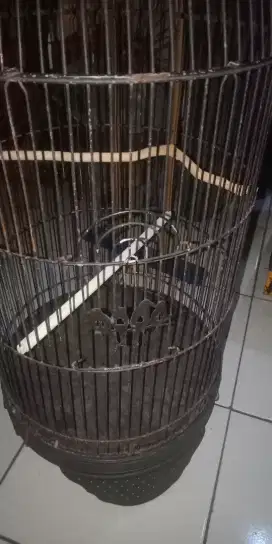 sangkar lovebird depok