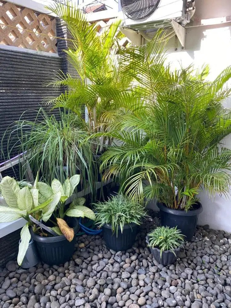 Dijual Rumah Siap Huni Di Bukit Nusa Indah Ciputat