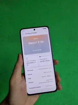 Oppo Reno 11f 5G , Ram 8/256 no minus
