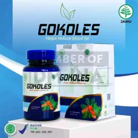 Obat herbal kolesterol