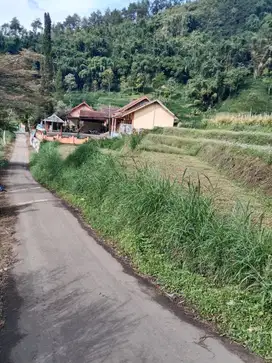 Bumiaji Batu | Tanah 1004 m² Gunungsari Brau Malang Sidomulyo Pawukir