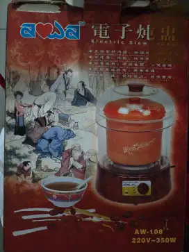 Aowa Electric Slow Cooker