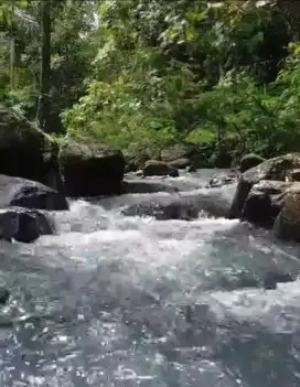 Tanah kebun di pupuan tabanan bali loss sungai