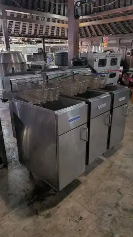 Deepfrayer Gas  RANKIN-DELUX kapasitas 20L