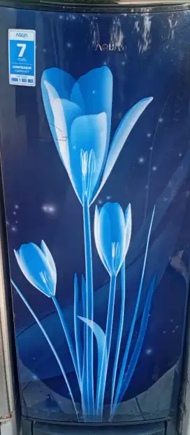 Kulkas Aqua 1 pintu