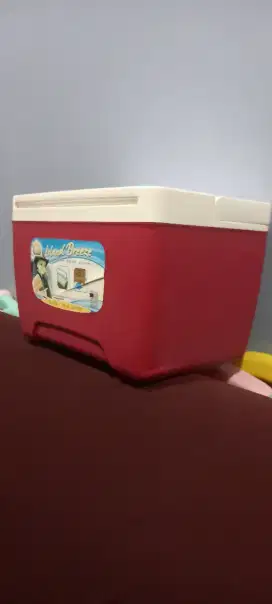 IGLOO coller box 8L