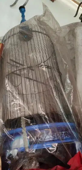 Di jual kandang burcil tebok