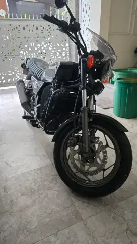 Kawasaki Ninja Z250 scrambler bobber binter